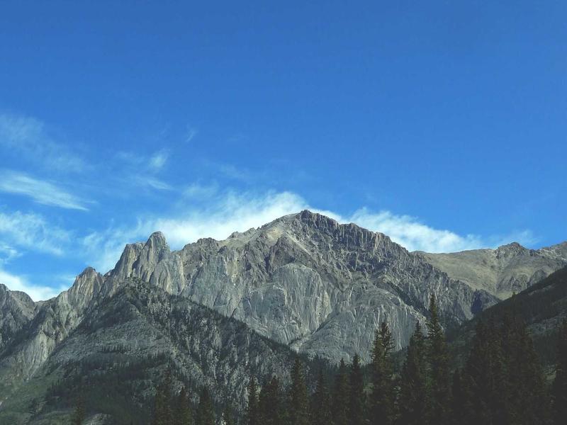 Dra. Belén Costantino