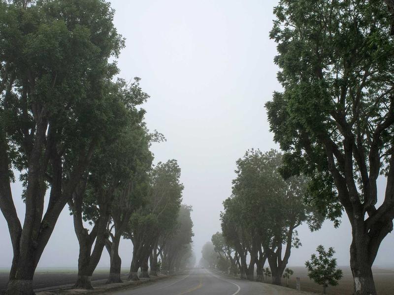 Lic. Natalia Garrido